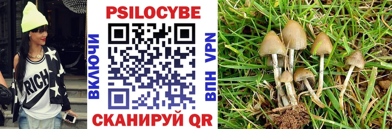 Псилоцибиновые грибы Magic Shrooms  Купить  Саратов 